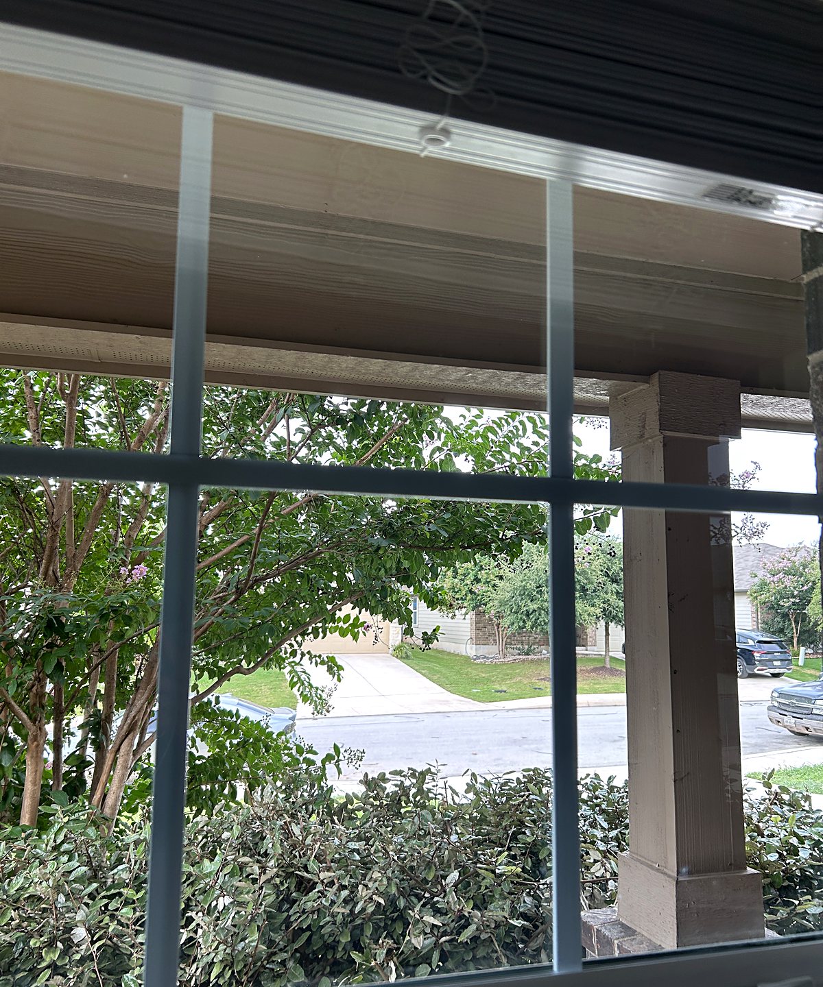 A divided-light window looking onto a shaded street, the glass clear enough to read the leaves on the crape myrtle.